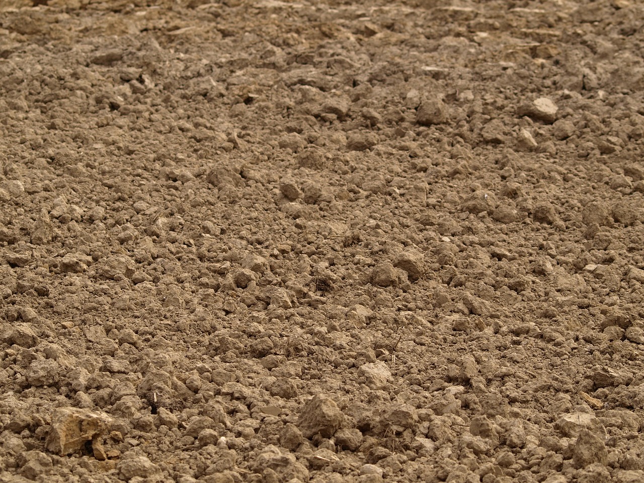 Sustainable Soil Management